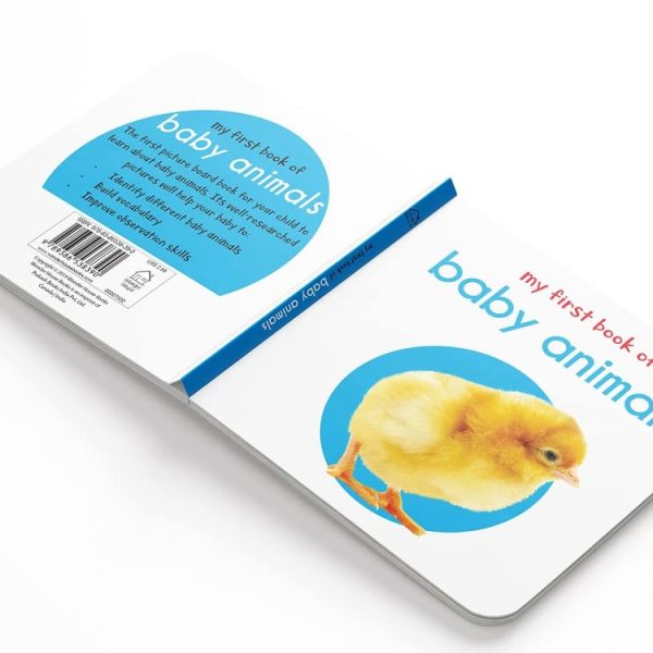Custom Kids Story Book Printing