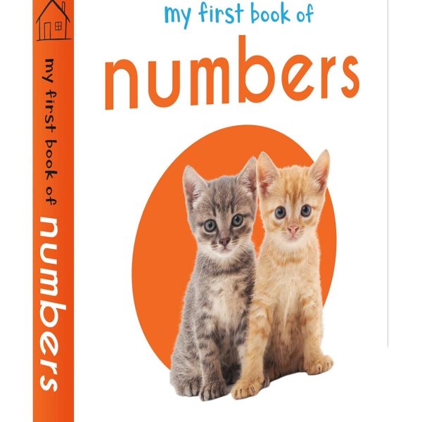 Eco Friendly Children Book Printing Service