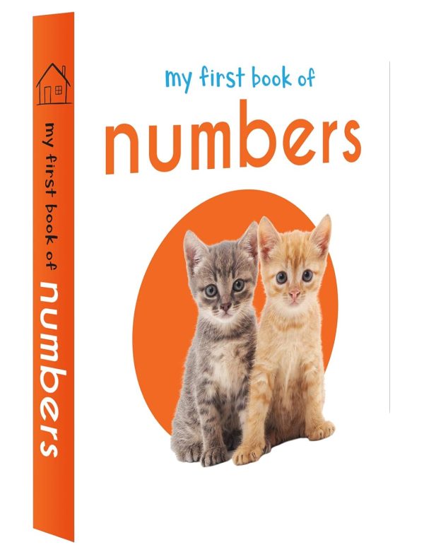 Eco Friendly Children Book Printing Service