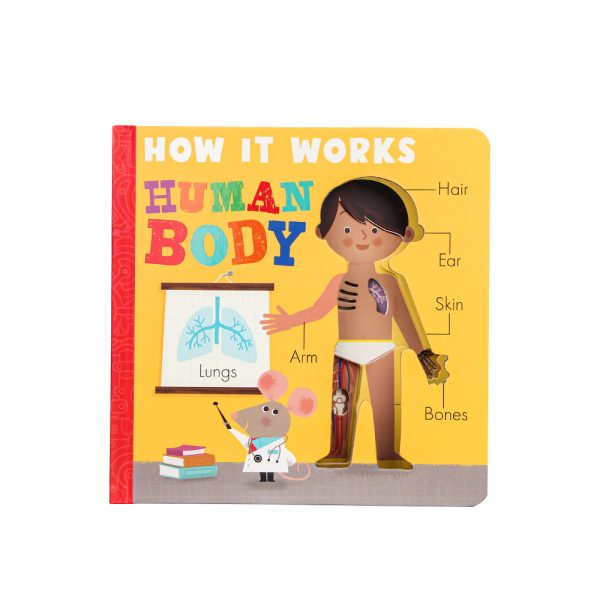 custom kids coloring board book