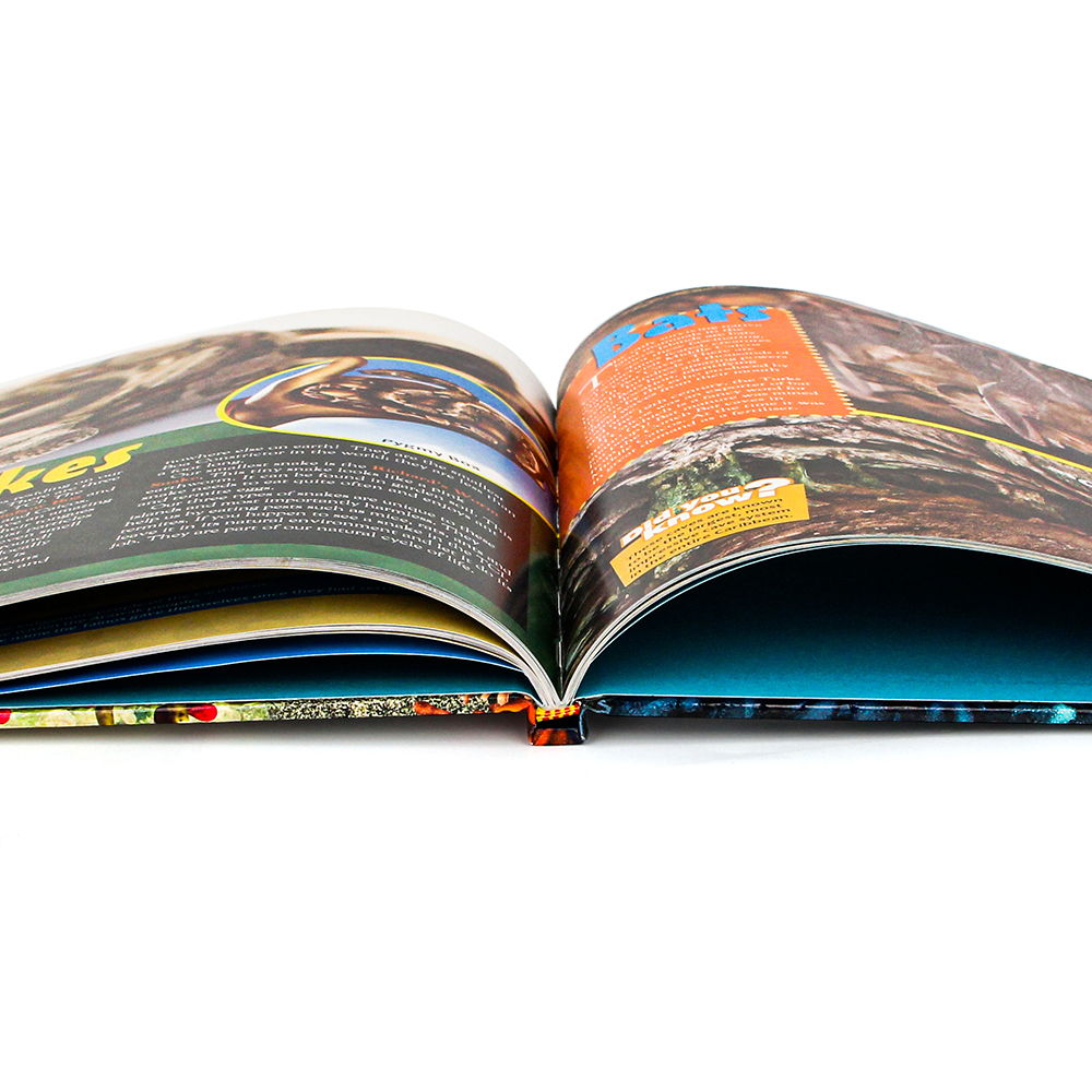 Children Book Printing Professional Coloring Book Printing Service 100-200GSM Paper Options Matte Lamination Child-Safe Inks - Image 5