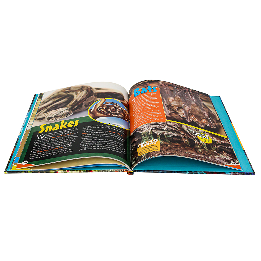 Children Book Printing Professional Coloring Book Printing Service 100-200GSM Paper Options Matte Lamination Child-Safe Inks - Image 4